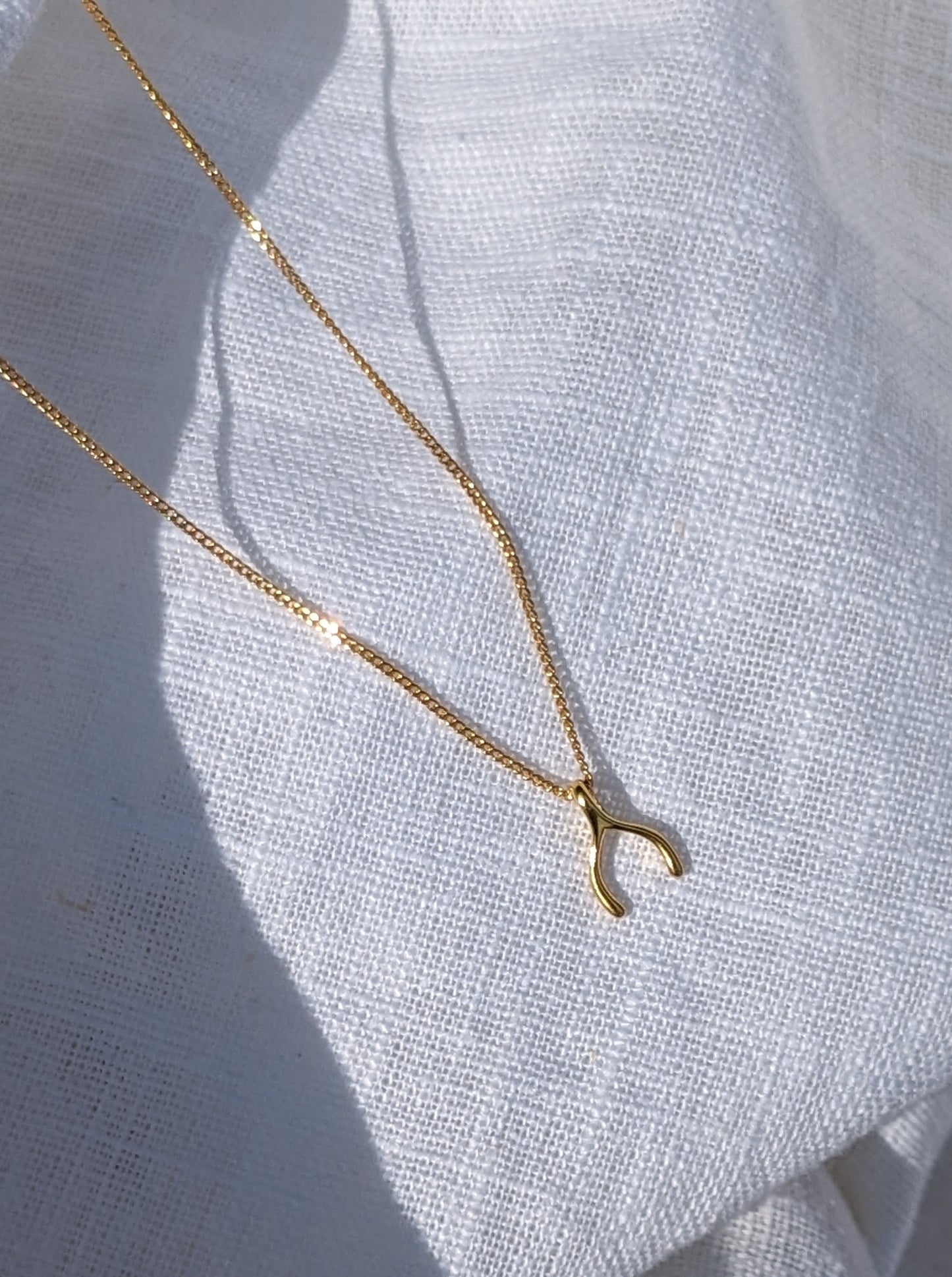 Delicate Wishbone necklace