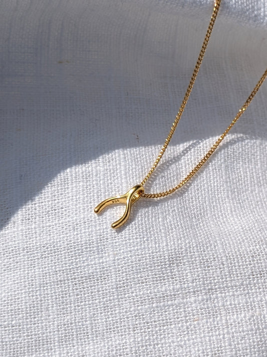 Cute Wishbone necklace